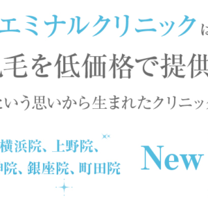 【口コミも】エミナルクリニックの料金が安いのは理由が…脱毛機器に秘密あり